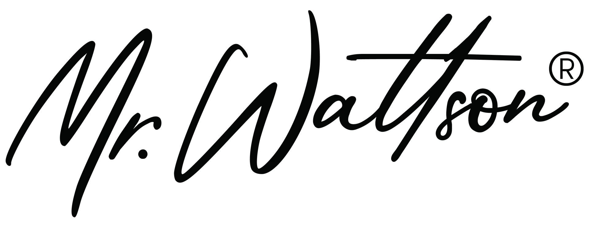 Mr. Wattson logo