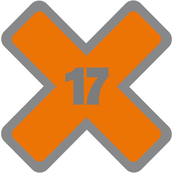 X17 logo