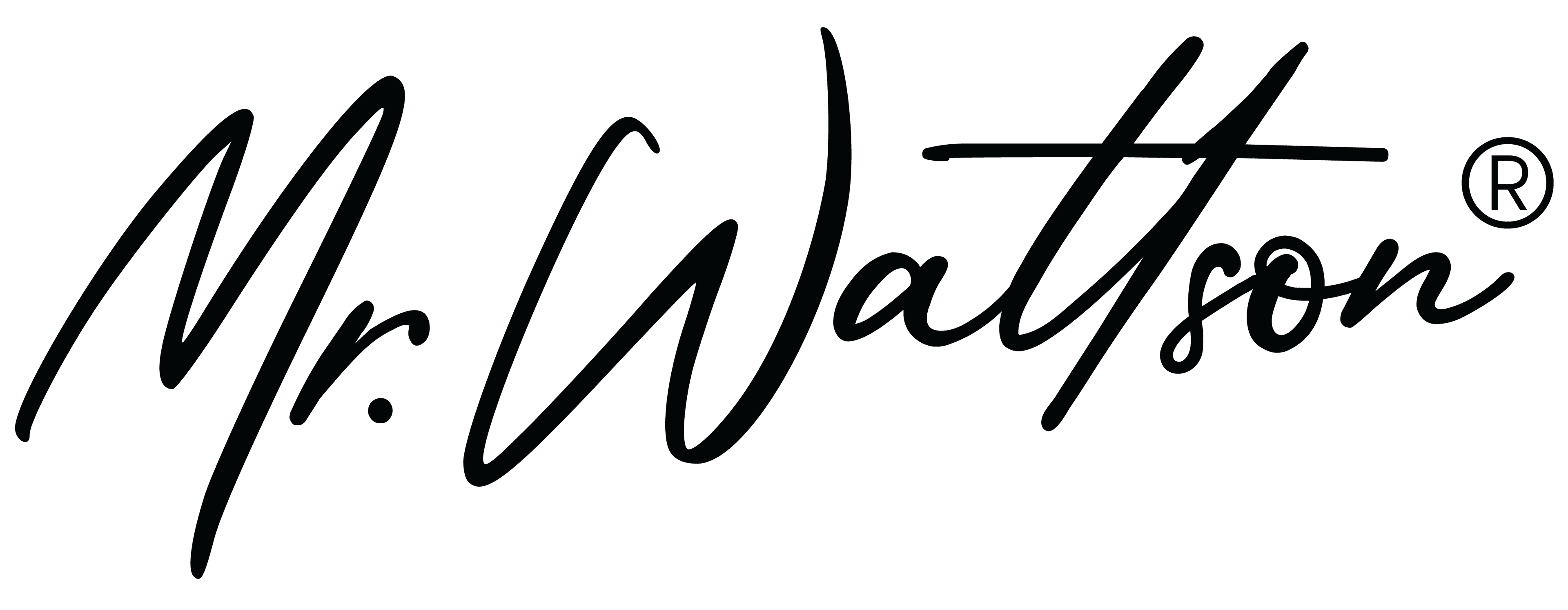Mr. Wattson logo